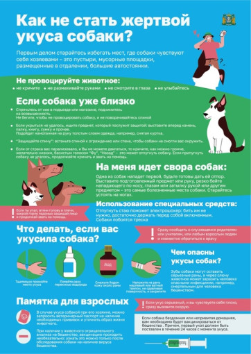 Риск травмирования в результате укуса собак Риск травмирования в результате укуса собак.