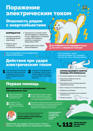 Риск для жизни и здоровья при нахождении на объектах электрохозяйства Риск для жизни и здоровья при нахождении на объектах электрохозяйства.